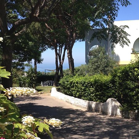Paradiso Terme Resort & Spa Con 5 Piscine Termali Forio di Ischia Εξωτερικό φωτογραφία
