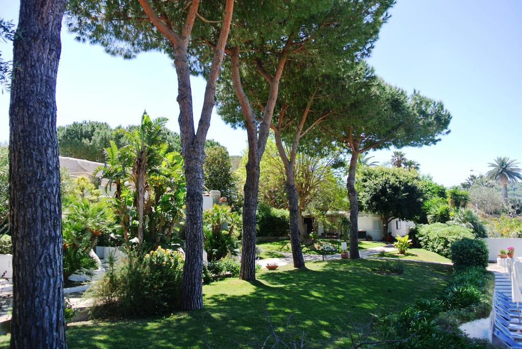 Paradiso Terme Resort & Spa Con 5 Piscine Termali Forio di Ischia Εξωτερικό φωτογραφία